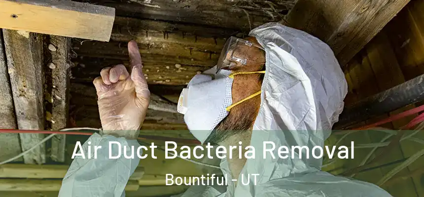  Air Duct Bacteria Removal Bountiful - UT