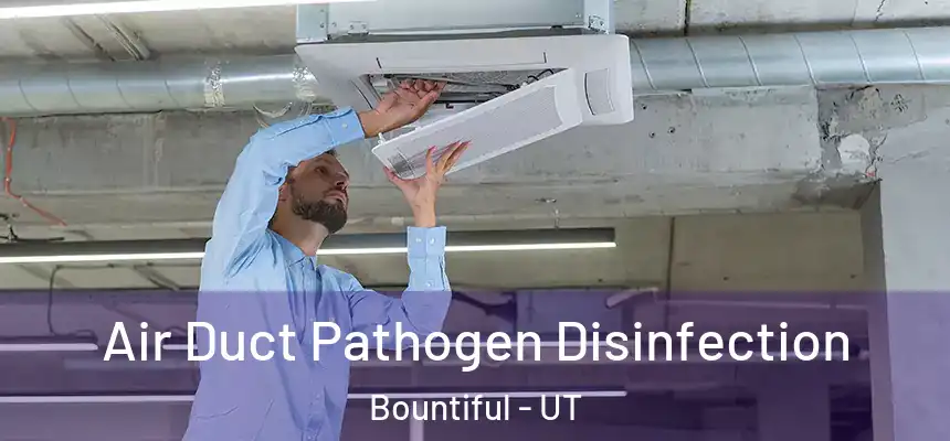 Air Duct Pathogen Disinfection Bountiful - UT