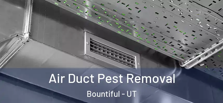  Air Duct Pest Removal Bountiful - UT