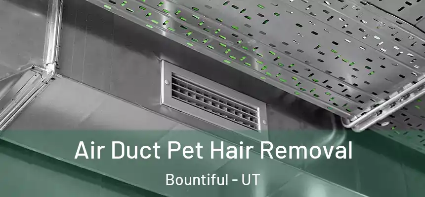  Air Duct Pet Hair Removal Bountiful - UT