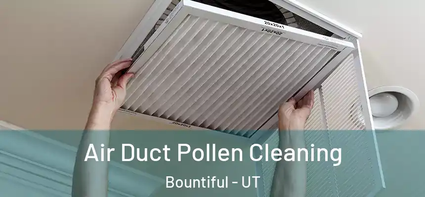 Air Duct Pollen Cleaning Bountiful - UT