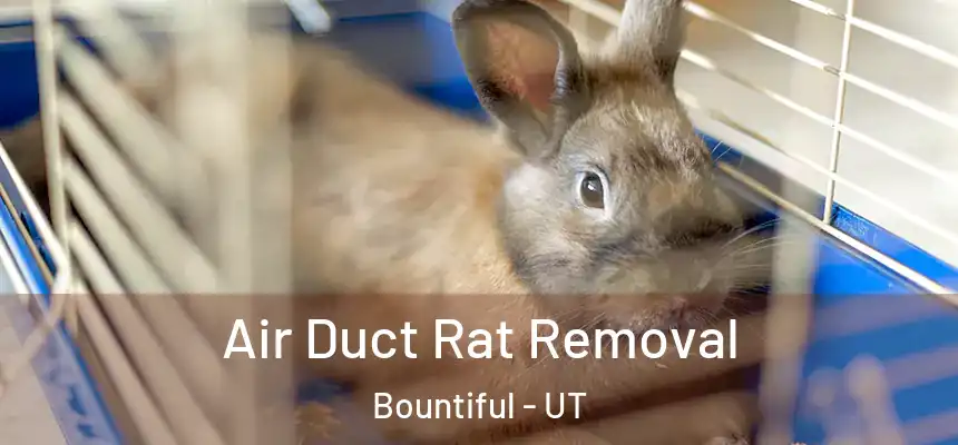  Air Duct Rat Removal Bountiful - UT