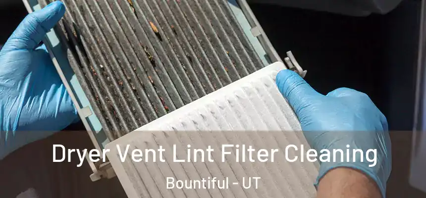  Dryer Vent Lint Filter Cleaning Bountiful - UT