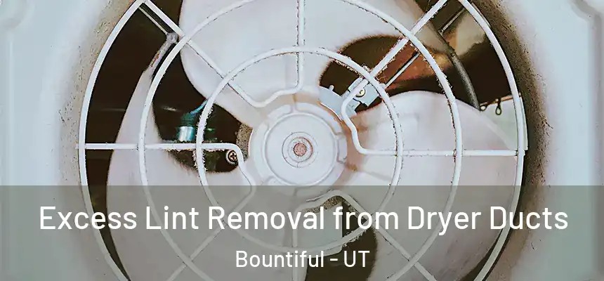 Excess Lint Removal from Dryer Ducts Bountiful - UT