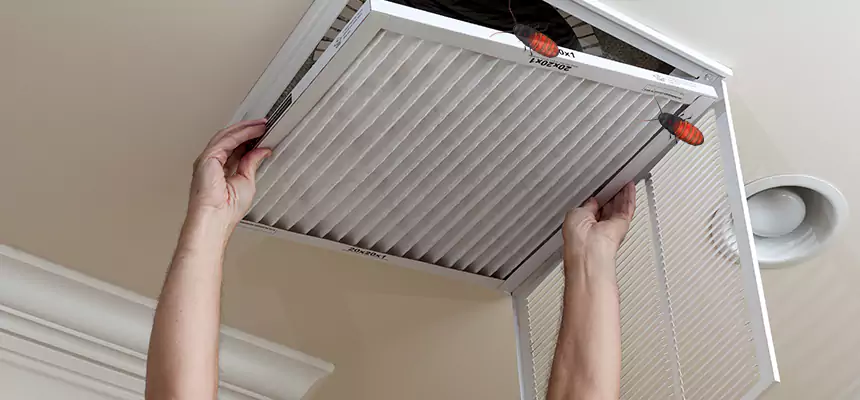 Our Insect Removal from Air Ducts Services in Bountiful, UT