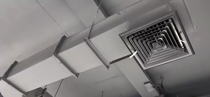 Our Pest Removal From Ducts Services in Bountiful, UT