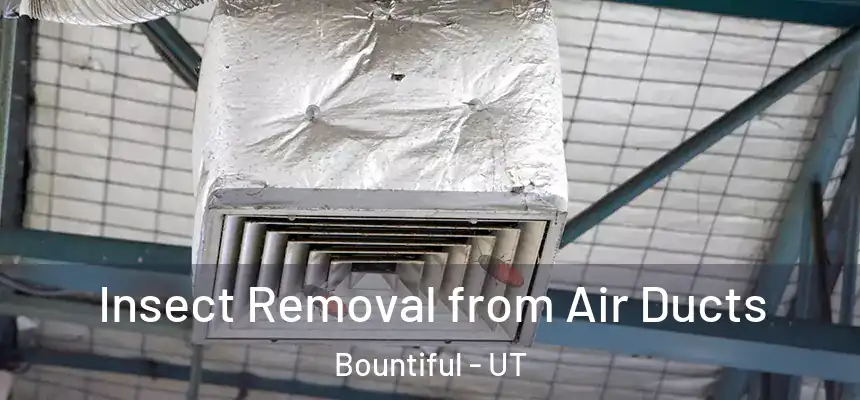 Insect Removal from Air Ducts Bountiful - UT