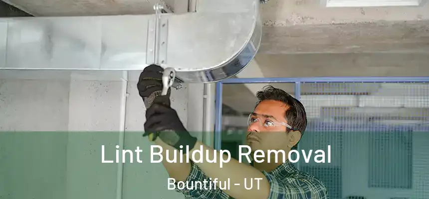  Lint Buildup Removal Bountiful - UT