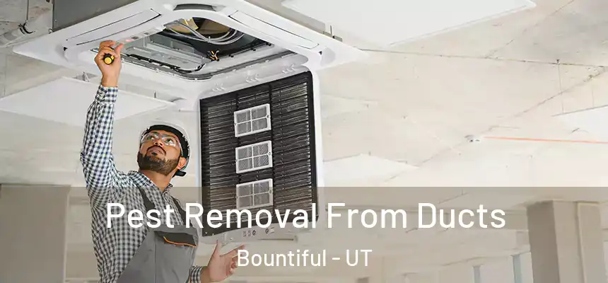  Pest Removal From Ducts Bountiful - UT