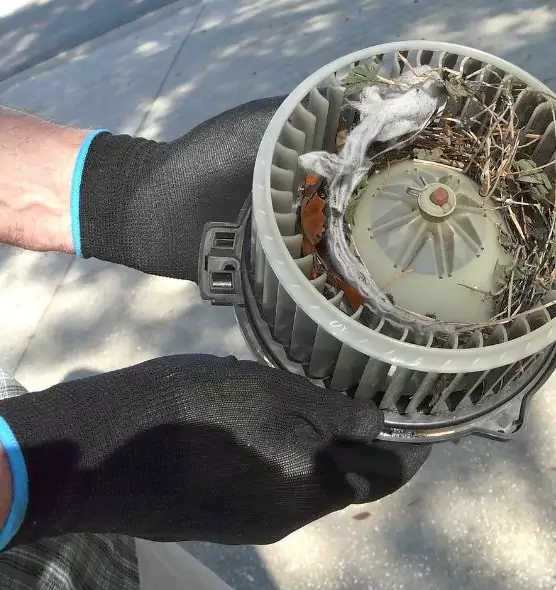 About Air Duct Rat Removal in Bountiful, UT