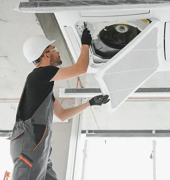 About Air Duct Rodent Removal in Bountiful, UT