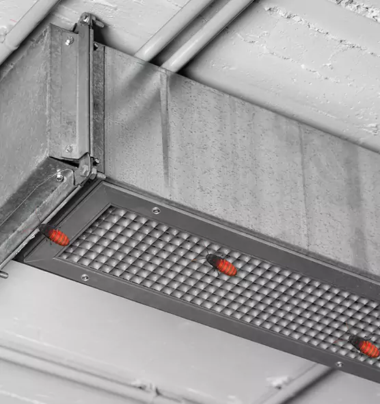 Affordable Insect Removal from Air Ducts in Bountiful, UT