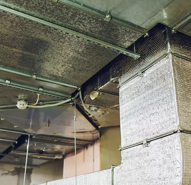 Why Homeowners & Businesses Trust Us in Bountiful, UT?